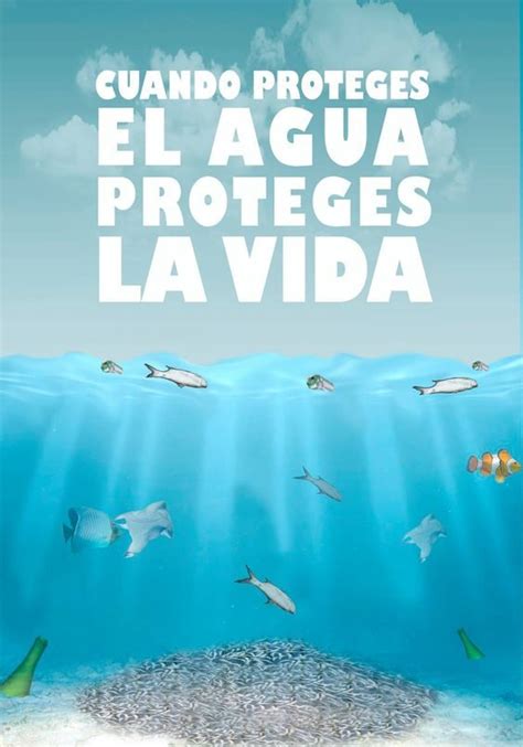 Resultado De Imagen Para Cuidado Del Agua Cuidado Del Agua Ciclo Del