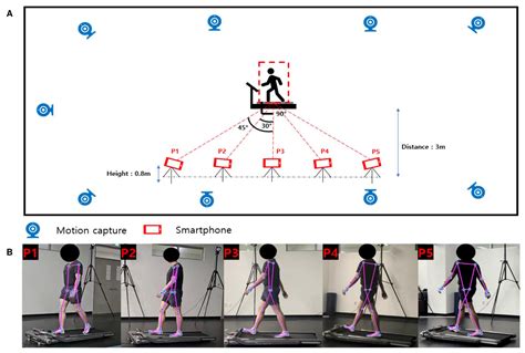 Bioengineering Free Full Text Improving Gait Analysis Techniques With Markerless Pose