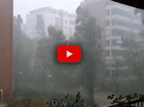 Meteo Cronaca Diretta VIDEO MILANO forte BURRASCA di VENTO in città