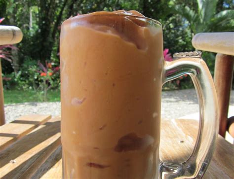 Mamey Sapote Smoothie Live Remedy