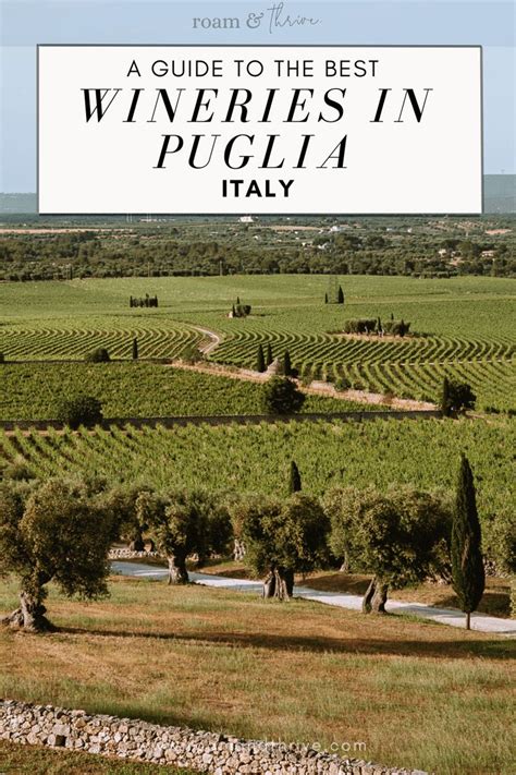 10 Best Wineries In Puglia Puglia Vineyards You Can T Miss Puglia Italy Wine Puglia Italy