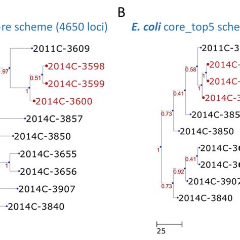 Dendrogram Constructed With Cgmlst Profiles For Ten Escherichia Coli