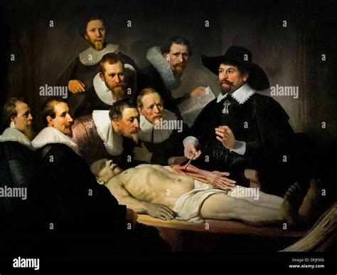 The Anatomy Lesson ( de anatomische les ) of Dr Nicolaes Tulp 1632 ...