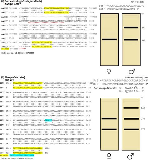 Molecular Sexing Assays In 114 Mammalian Species In Silico Sequence