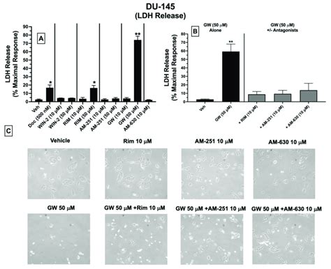 Ldh Cytotoxicity Du Cells Treated With Ligands Exhibiting High