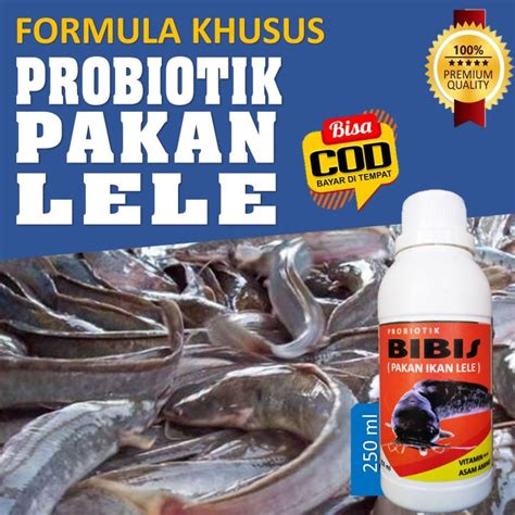 Probiotik Vitamin Penambah Nafsu Makan Ikan Lele Supaya Pertumbuhan