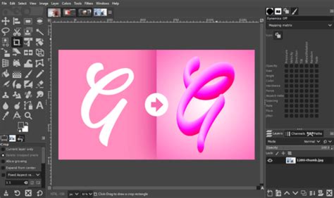 Inkscape Vs Gimp A Complete Comparison For New Users Logos By Nick