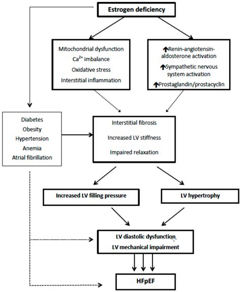 Jcm Free Full Text Sex And Heart Failure With Preserved Ejection Fraction From