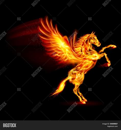 Fire Pegasus Rearing Vector And Photo Free Trial Bigstock