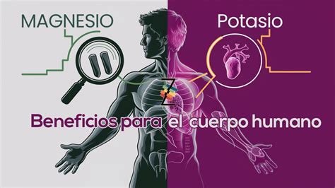 Descubre Los Poderosos Beneficios Del Magnesio Y Potasio Para Tu Salud