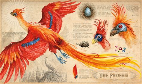 Easter Eggs In Jim Kays Illustrations For Harry Potter And The