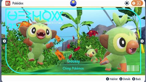 Ubicación de Grookey en Pokémon Indigo Disk cómo atrapar y evolucionar