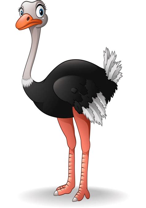 Ostrich Clipart - Clipart.World