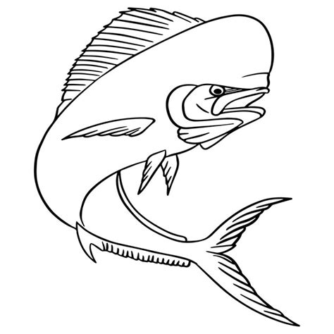 Premium Vector Mahi Fish Outline Hand Drawn Clip Art