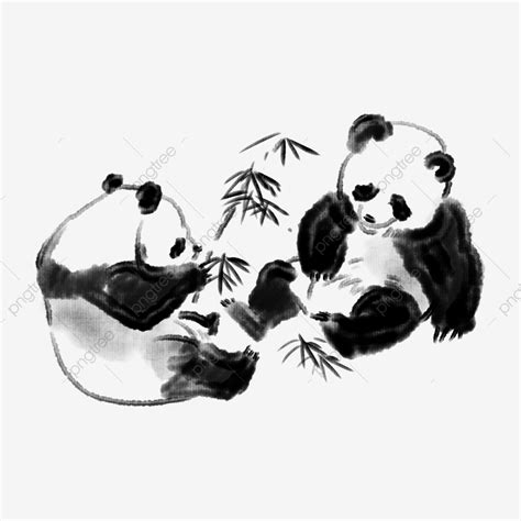 two pandas playing with each other in black and white ink on paper, one is eating bamboo