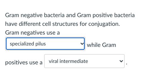 Solved Gram negative bacteria and Gram positive bacteria | Chegg.com