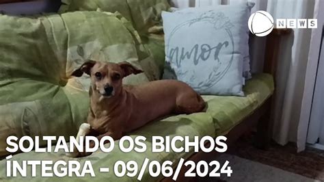 Soltando Os Bichos 09 06 2024 YouTube