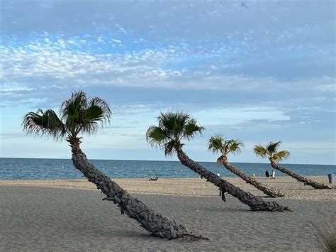 Perpignan Les Meilleures Plages Beachatlas