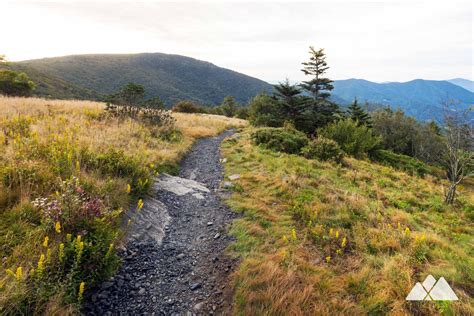 16 Must Do Hikes In Great Smoky Mountain National Park Travelarize