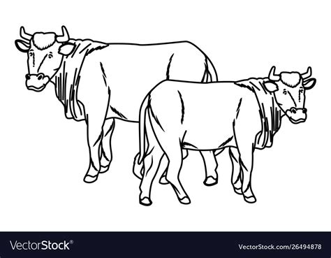 Two Cows Clipart