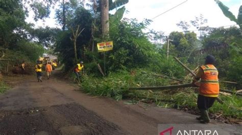 Jalur Puncak Cianjur Rawan Longsor Dan Pohon Tumbang Bpdb Imbau