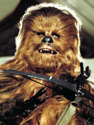 L Antre Du Voyageur Onirique Peter Mayhew