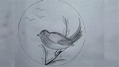 Simple Bird Drawing Easy Pencil Sketch And Shading Chirya Drawing