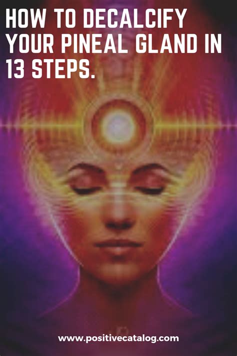 How To Decalcify Your Pineal Gland In Steps With Images Pineal