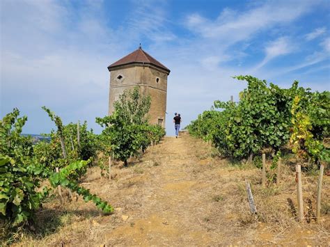 Visiter Arbois Le Village Au Coeur Des Vignes Jurassiennes