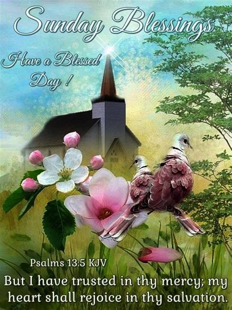 Sunday Blessings Psalms 135 Kjv Have A Blessed Day Blessed Sunday