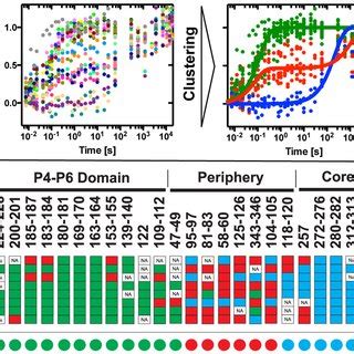 Eyring Analysis Of The Reactions For The Structural Kinetic Model As