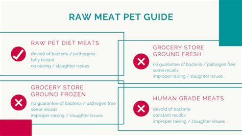 Raw Meals: Prep & Safety