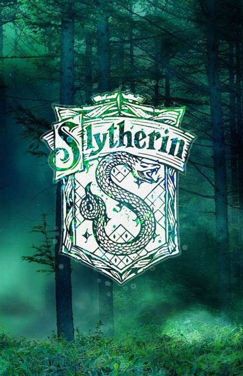 Harry Potter - Harry Potter Wallpaper Slytherin - 1242x1921 Wallpaper ...