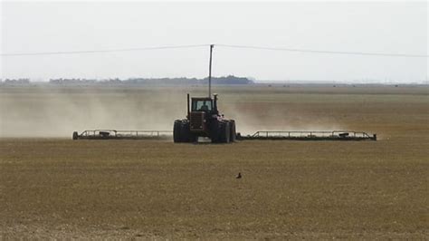 Alberta Farmers Compelled To Harvest Crops Early Amid Heat Wave Cbc News