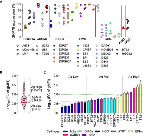 Grp78 Car T Cell Effector Function Against Solid And Brain Tumors Is