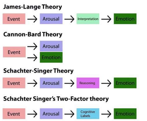 Overview Of The Major Theories Of Emotion Cleverism