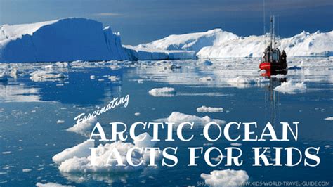 Arctic Ocean Facts for Kids | World Oceans | Facts for Kids | Geography