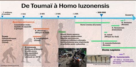 Infographie Une Nouvelle Esp Ce Contemporaine Dhomo Sapiens A V Cu