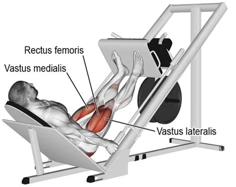 Leg Press Exercise: Muscle worked, Benefits, How to Do?