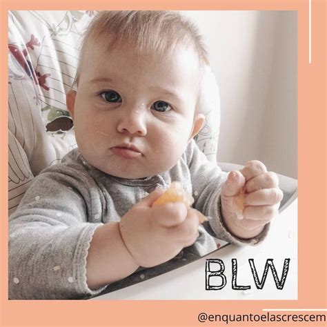 Voc Sabe O Que Blw Blw S O As Iniciais De Baby Led Weaning Que