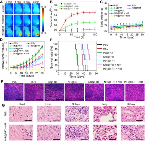 Development Of Drug Dual Carriers Delivery System With Mitochondria Ta