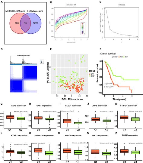 Frontiers Identification Of Novel Metabolism Associated Subtypes For