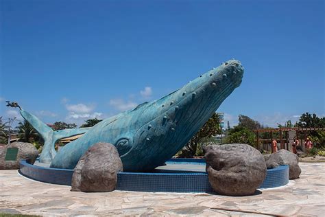 Conheça a Praça da Baleia um dos pontos turísticos mais visitados de