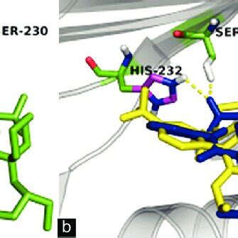 Visualization Of Dalcetrapib Cetp Binding Complexes Using Pymol