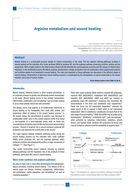 (PDF) Arginine metabolism and wound healing