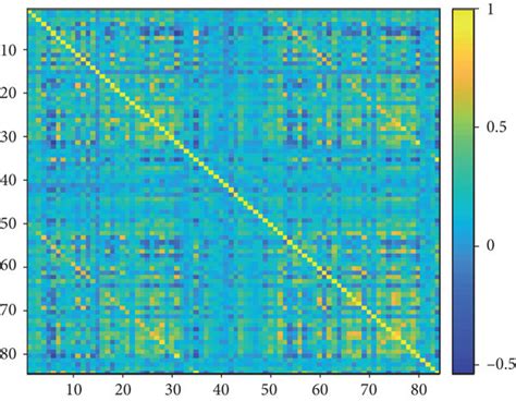 Functional Connectivity Matrix Of Real Network A And Randomized