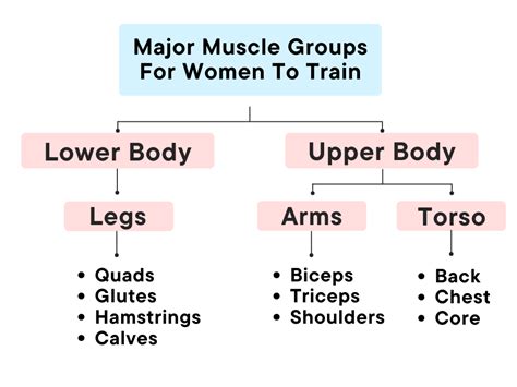 10 Key Muscle Groups Women Should Train [A Complete Guide] – Wisely Natural