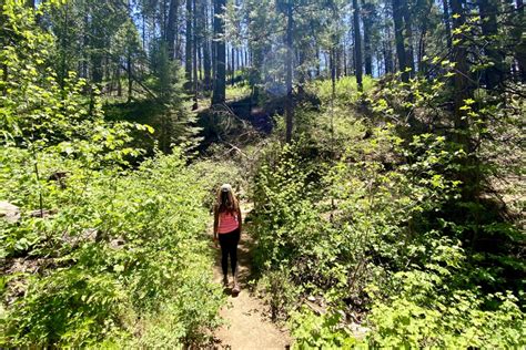 Hiking Trails In Oakhurst Ca Where To Hike What To Bring Where To Eat