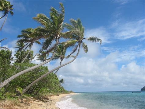 Naviti Beach Yasawa Islands Fiji Ultimate Guide January 2025