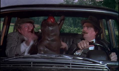 Hot Hot Hot You They Re Still Comin I Think They Are Trying To Kill Us Herbie